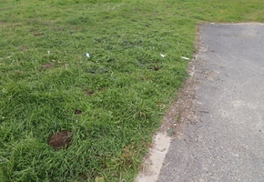 Győr-Moson-Sopron vármegye Győr ipari park 9700nm fejlesztési telek eladó
