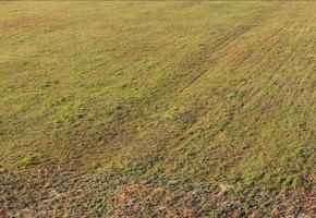 Fejér megye Bicske, M1 autópályához közel új parcellázású 3000-4000nm közötti, közművesített ipari telkek eladók